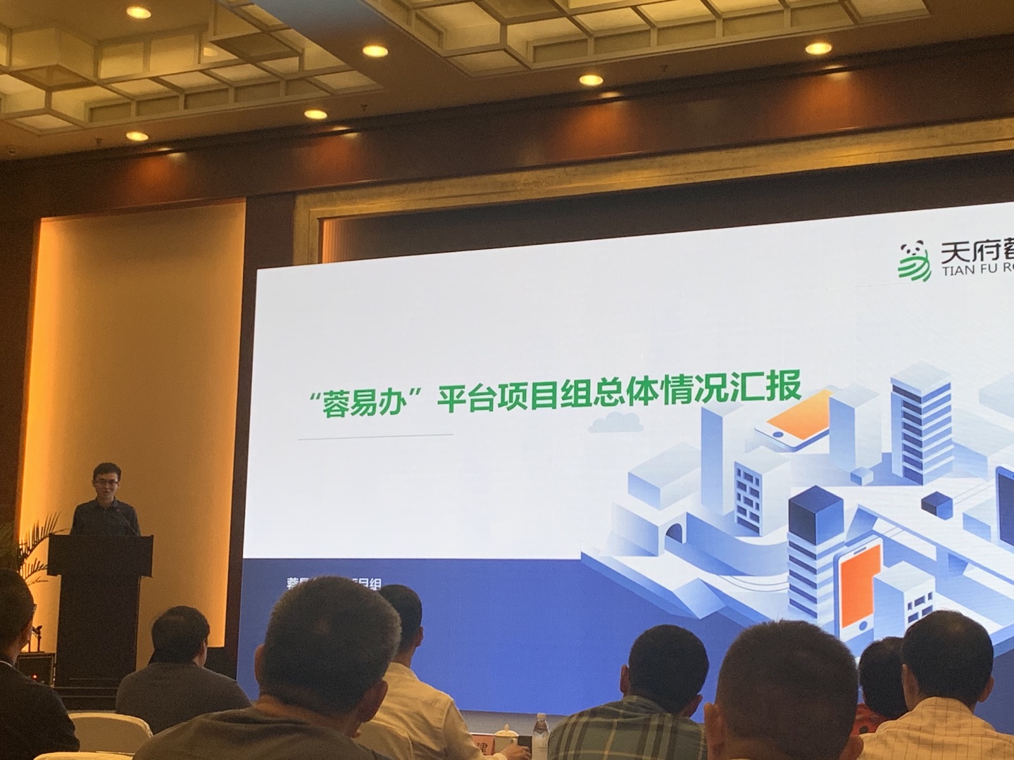 数字政务